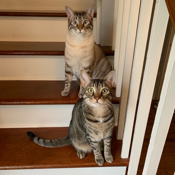 Meet your Posher, Jan - Picture 5 of 16